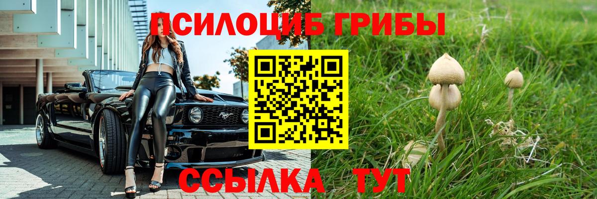 Кириши  Галлюциногенные грибы прущие грибы  Вход с VPN  Галлюциногенные грибы прущие грибы 