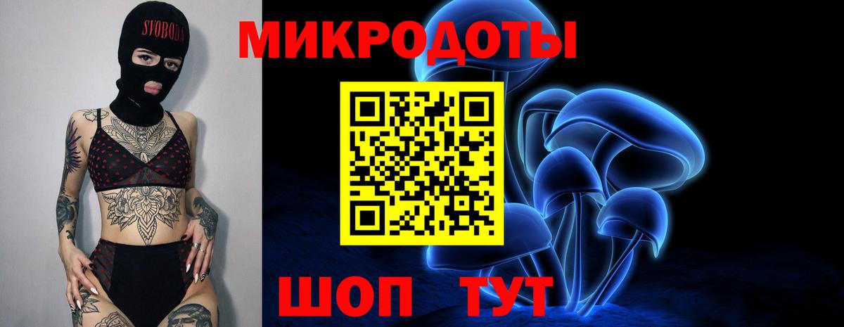 Псилоцибиновые грибы Cubensis Кириши
